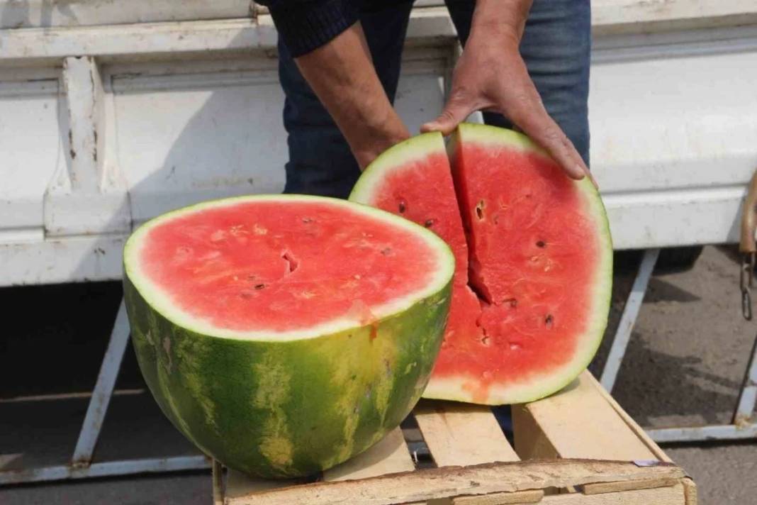 Dilim karpuzun fiyatını duyanlar küçük dilini yuttu! Asgari ücretliye karpuz almak hayal oldu 2